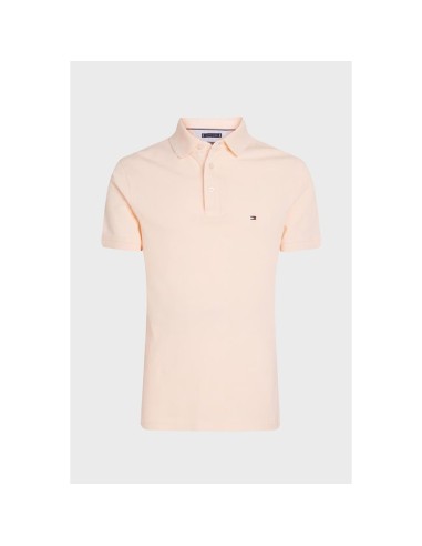 TOMMY HILFIGER MW0MW17771_NA PO (M)